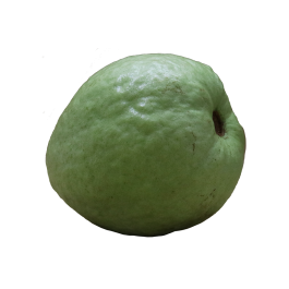 malaysia_guava_1.png