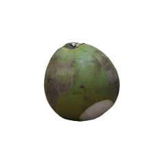 Malaysia Coconut