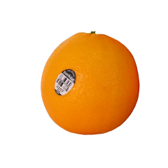  Sunkist Oranges -Bundle 5